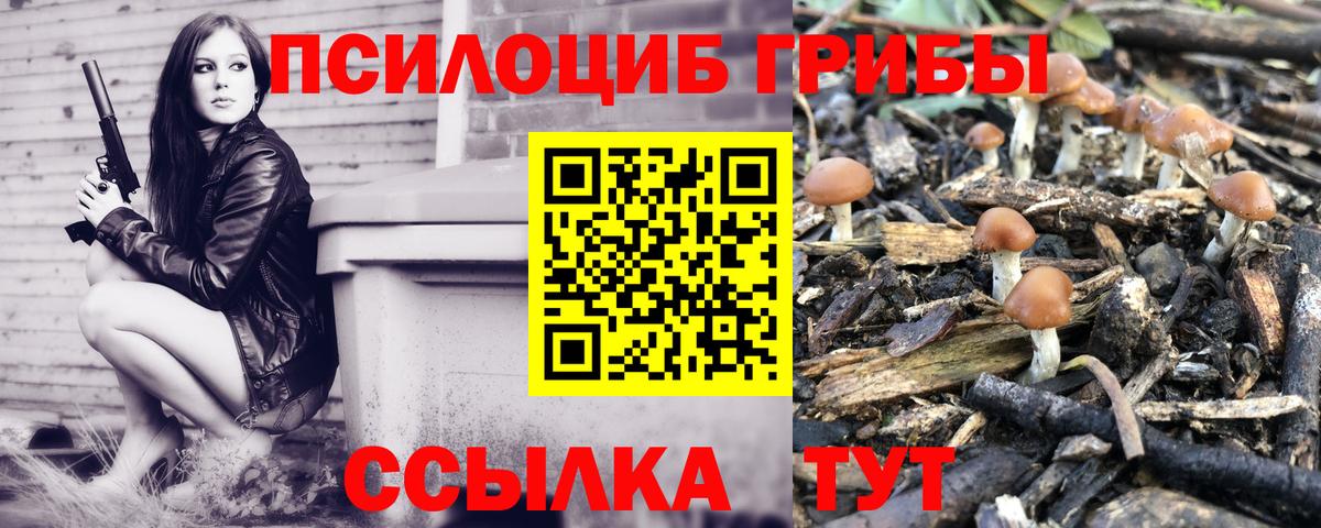Галлюциногенные грибы GOLDEN TEACHER  Вход с VPN  Калач-на-Дону 